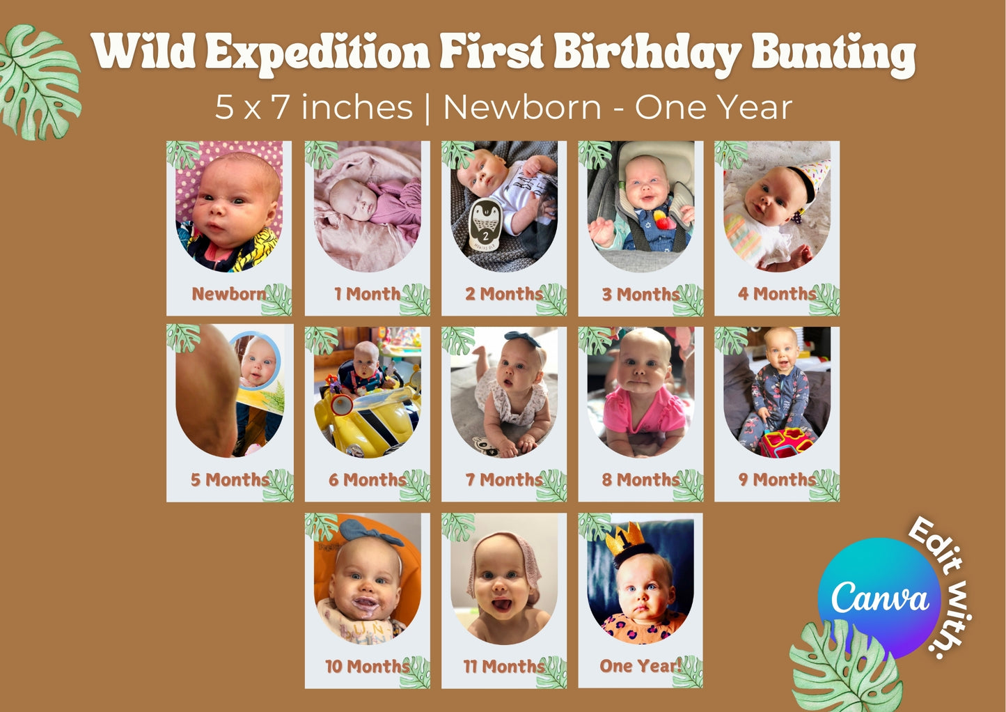 Wild Expedition Editable First Birthday Photo Bunting - Digital Download