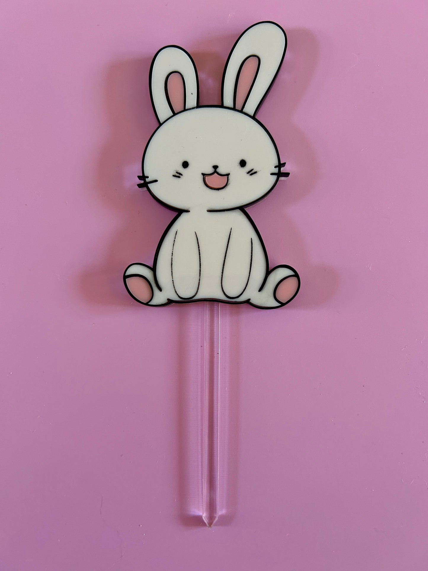 Bunny Hop Cake Topper